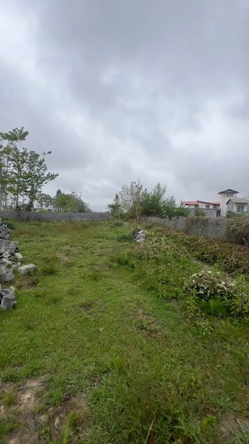 خرید زمین در شمال و مازندران — خرید — آپارتمان — فروش زمین ۳۴۱ متری داخل بافت نوشهر (کوشکسرا) با ویو جنگل و دریا — 341 متر — مازندران — املاک میراث