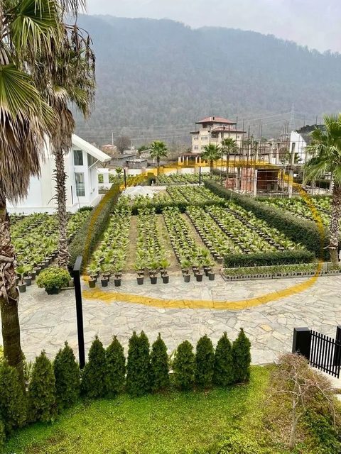 خرید — آپارتمان — فروش زمین ۳۷۶ متری شهرکی در نوشهر | سند تک‌برگ | زیر قیمت — 376 متر — نوشهر — املاک میراث